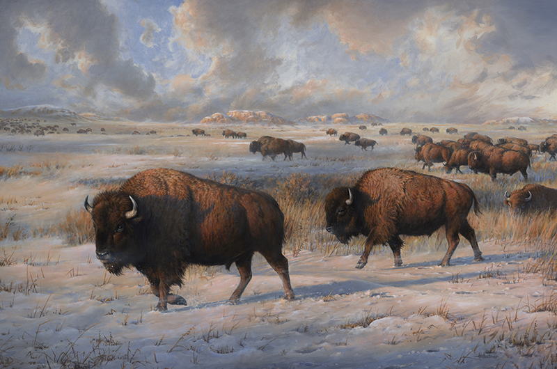 bison painting